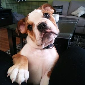 Meet your Posher, Curtis